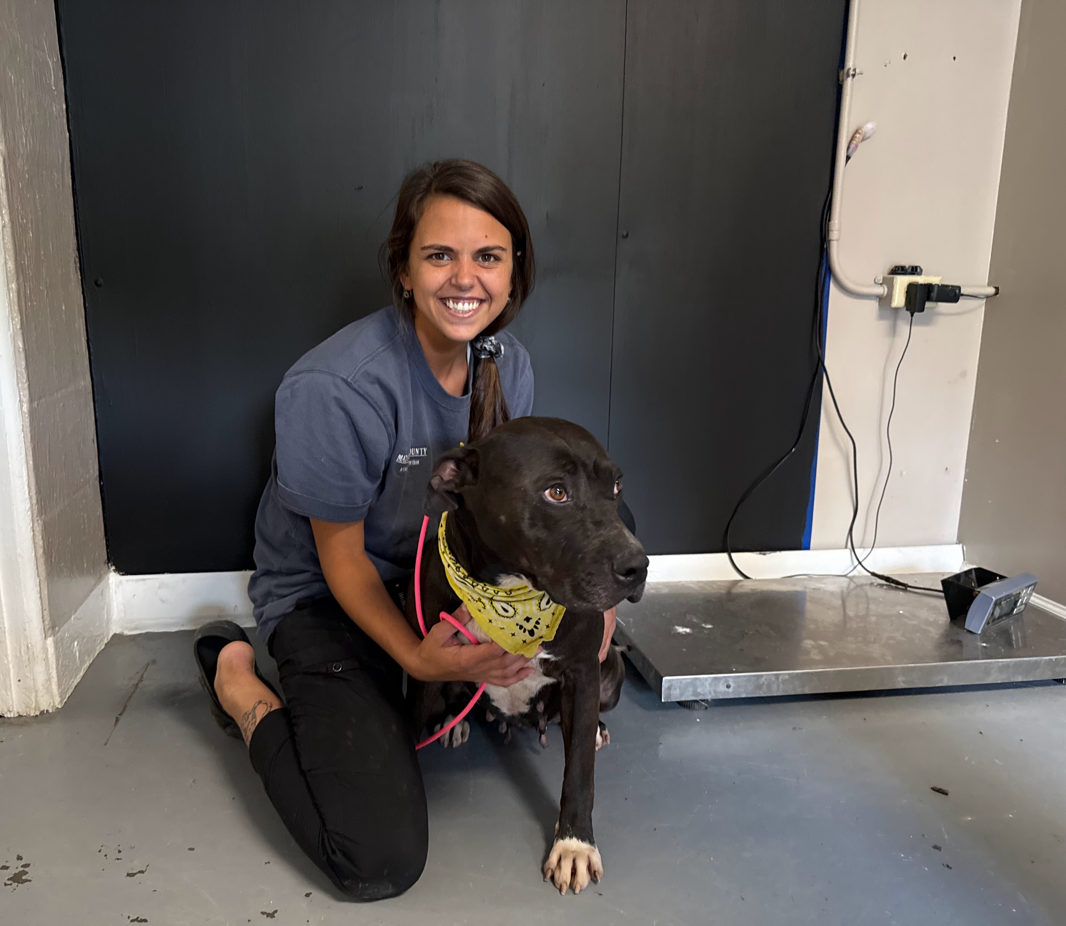 Animal shelter euthanasia rates reduced but overcrowding crisis looms