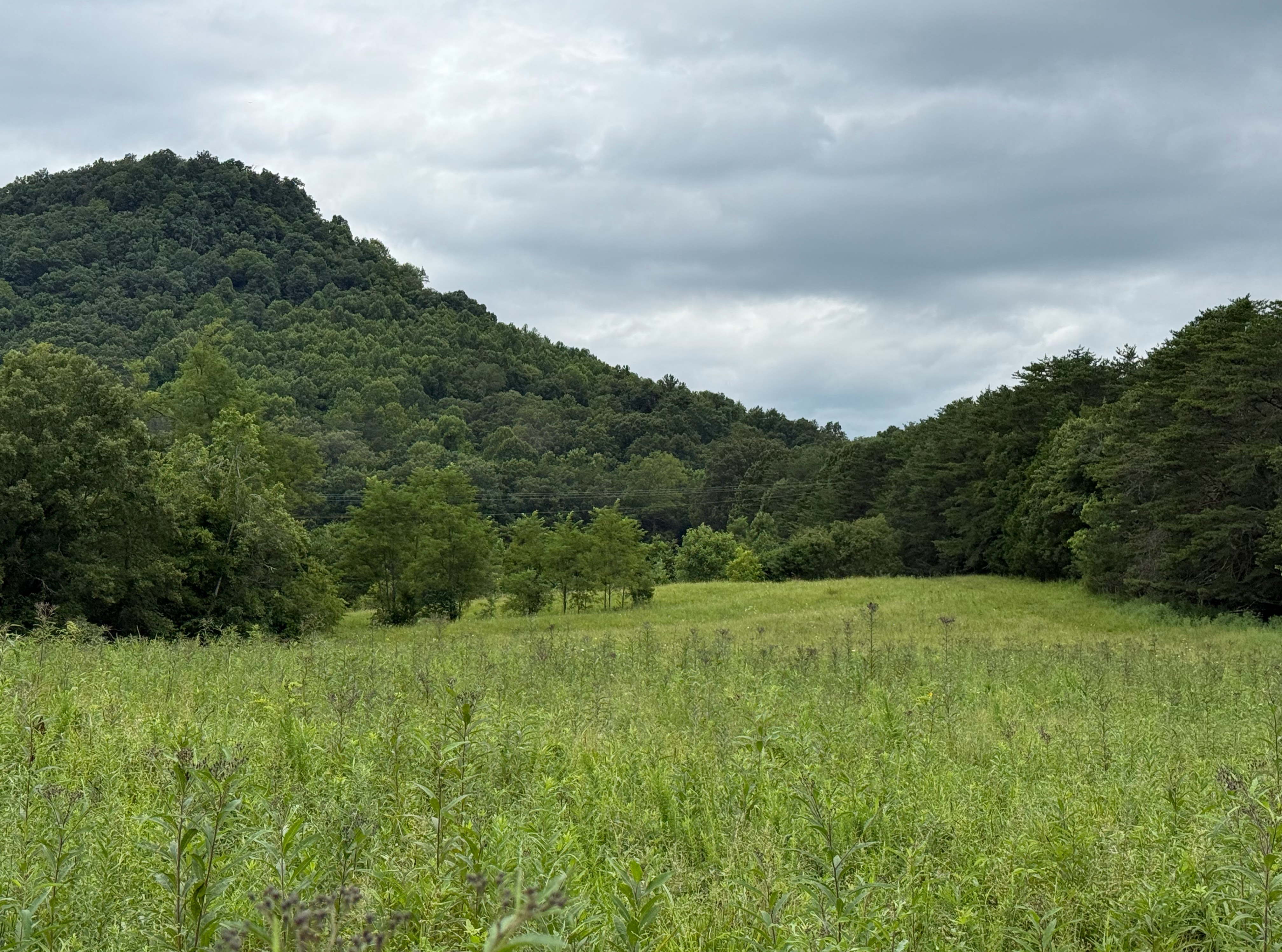 'Big Hill Line opposition is fear-mongering' resident says