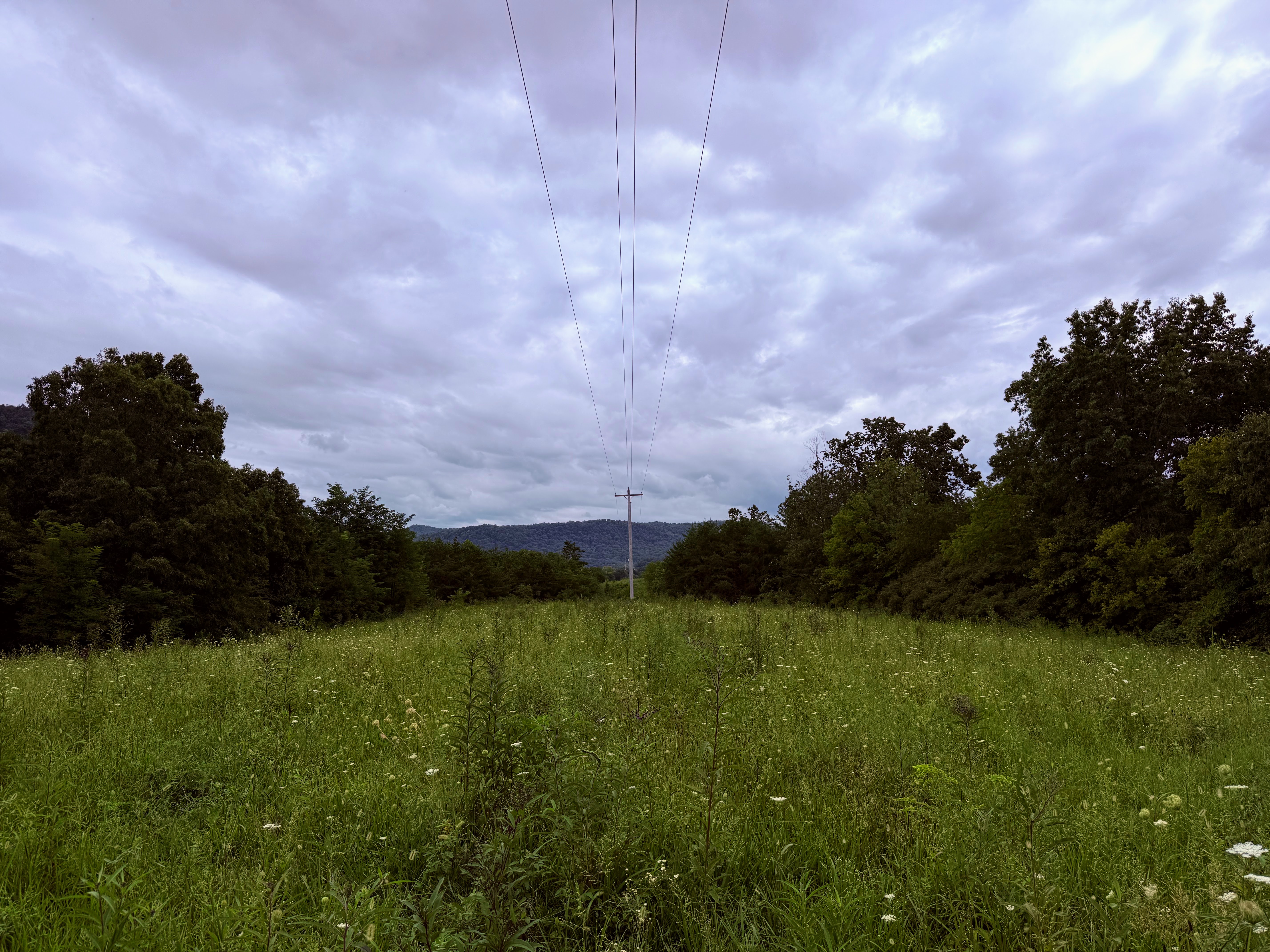 'Big Hill Line opposition is fear-mongering' resident says