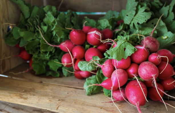 Local farmers buck industrial ag trends, offer community reliable, affordable care and feeding